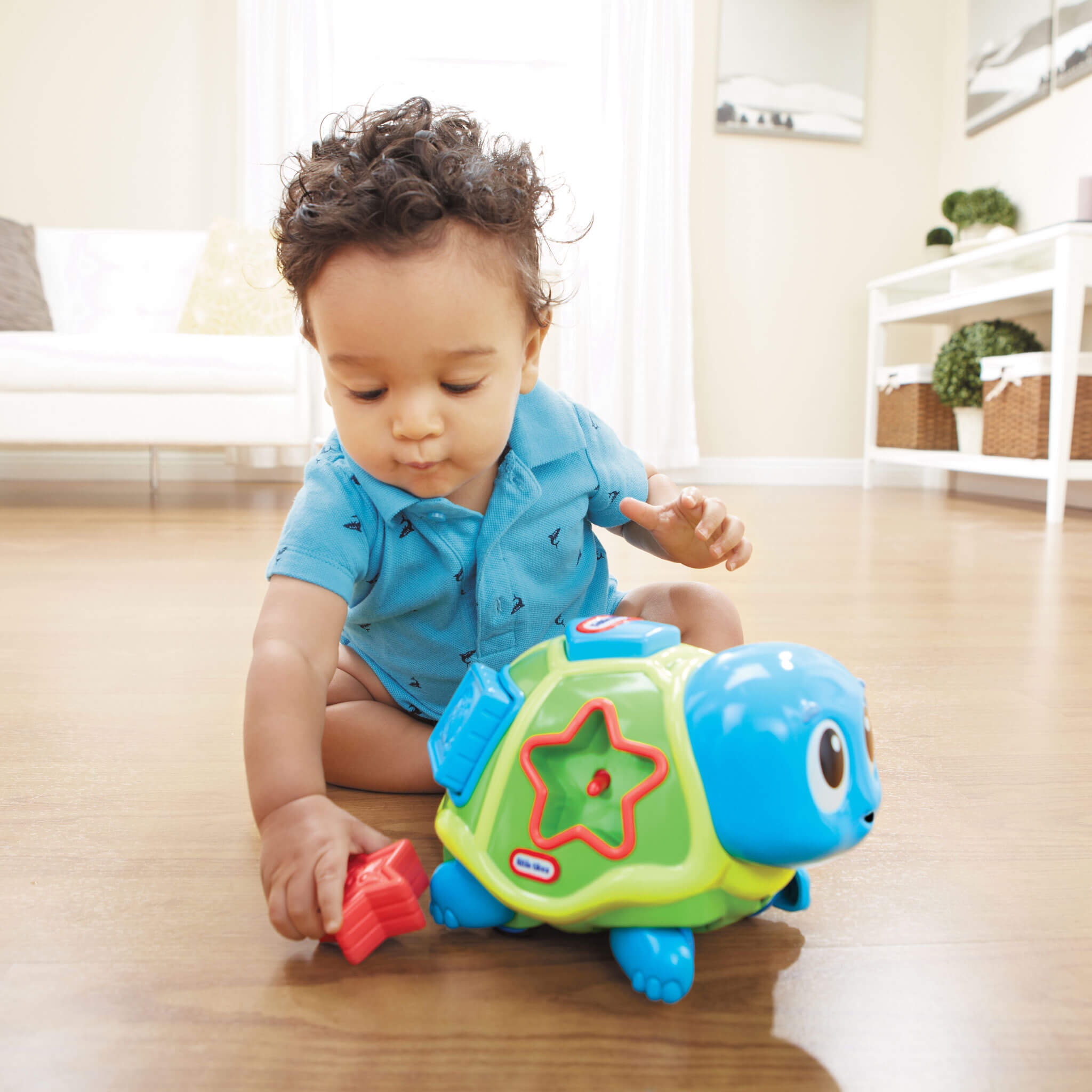 Crawl 'n Pop! Turtle