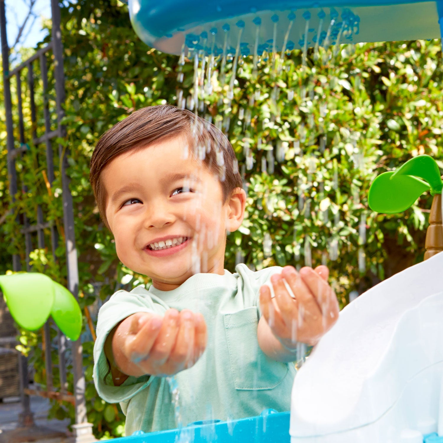Waterfall Island Water Table